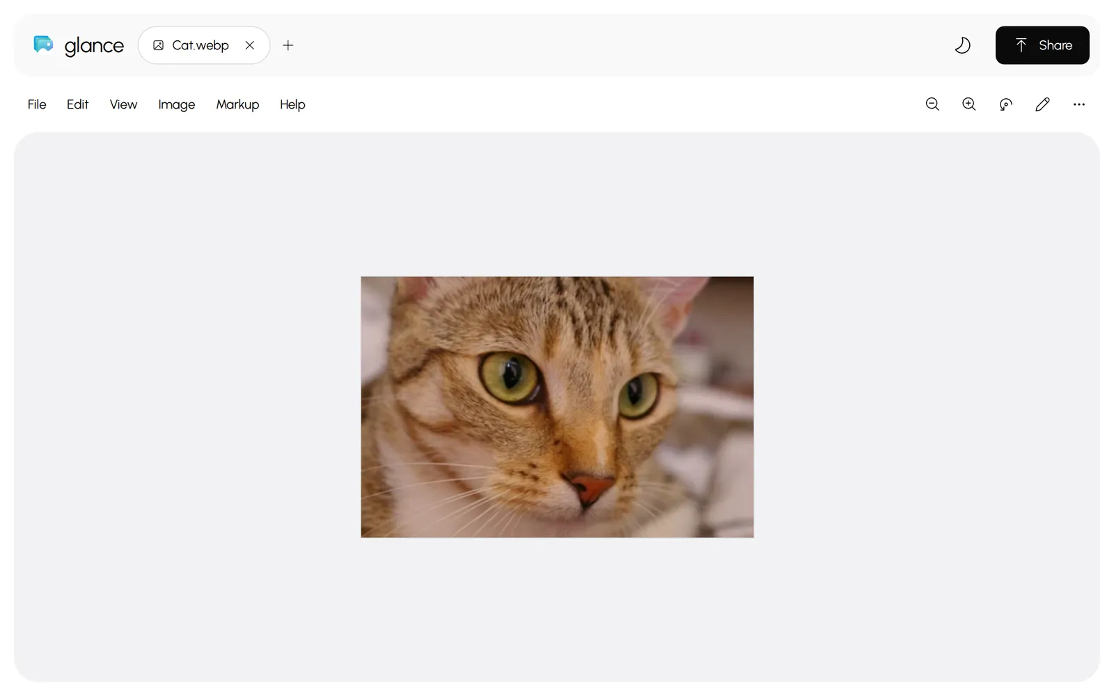 A WebP image open in Glance