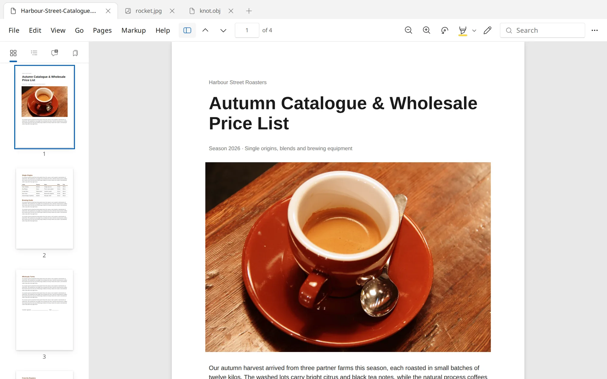 Glance for Windows with a four-page PDF catalogue open and page thumbnails in the sidebar